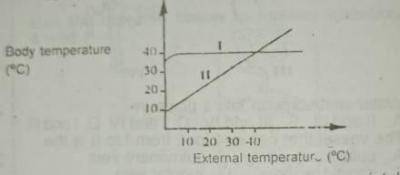 From the graph above, it can be appropriately deduced that